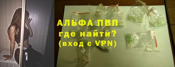 хмурый Аркадак