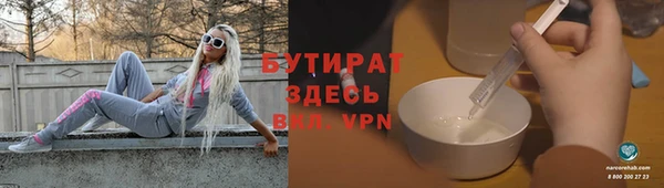 хмурый Аркадак