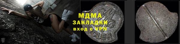 хмурый Аркадак