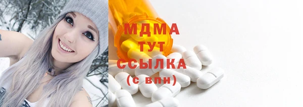 хмурый Аркадак