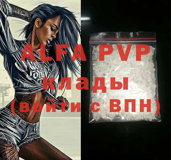 хмурый Аркадак