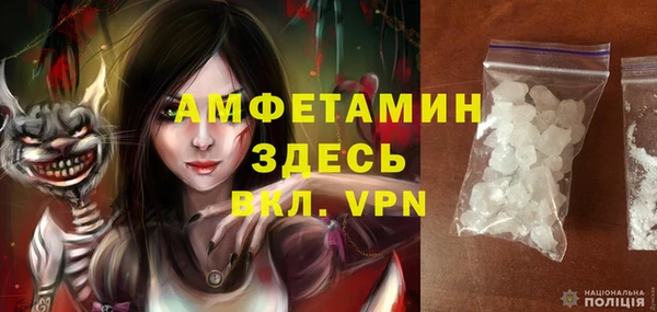 хмурый Аркадак