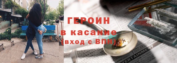 хмурый Аркадак