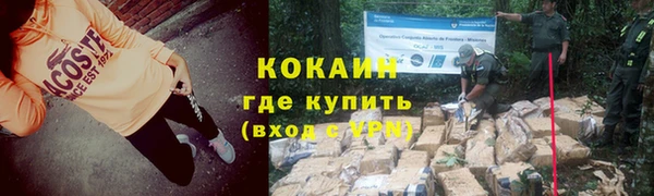 дурь Арсеньев