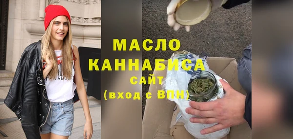 хмурый Аркадак